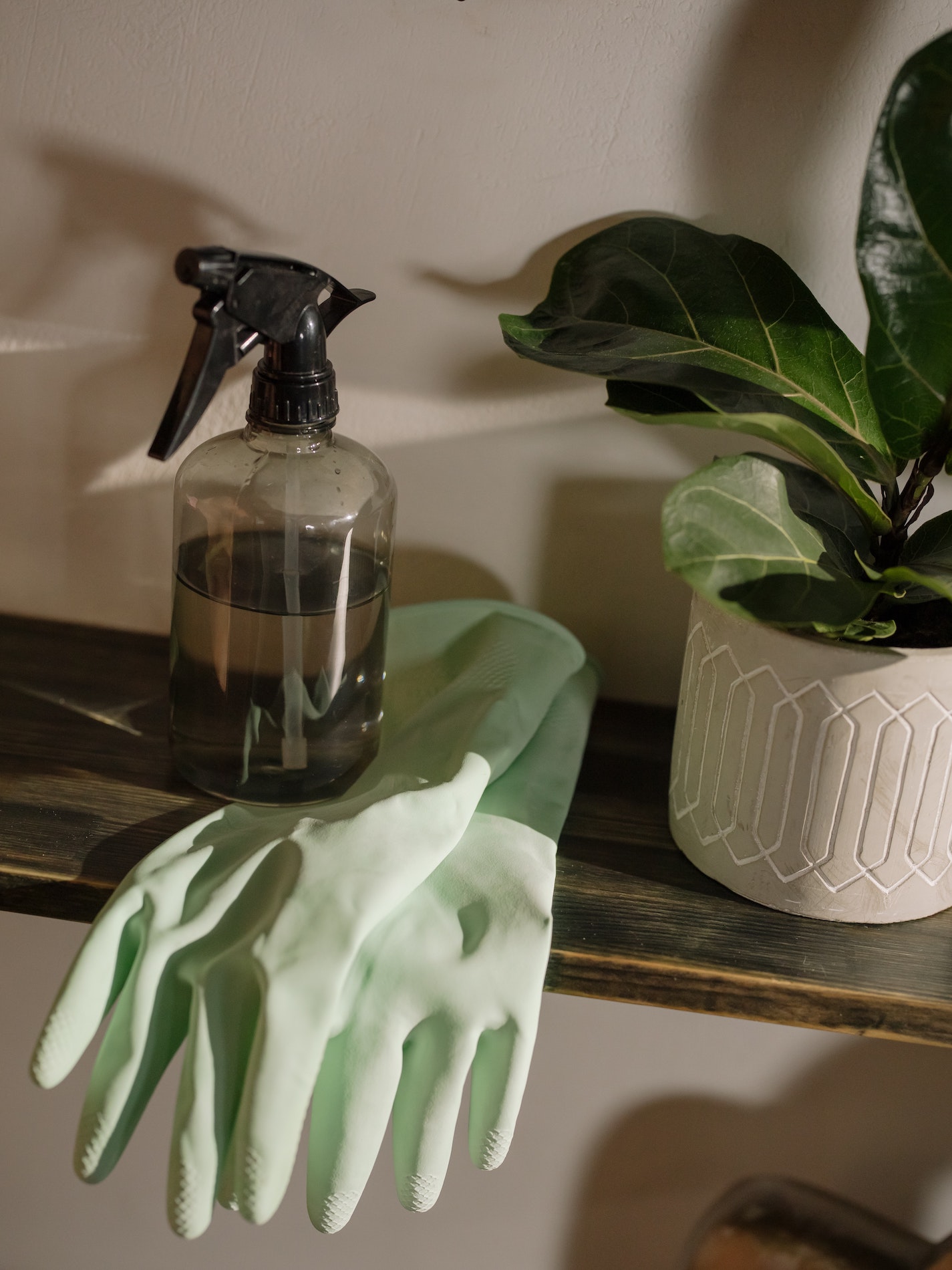 Gloves on a shelf with a spray bottle